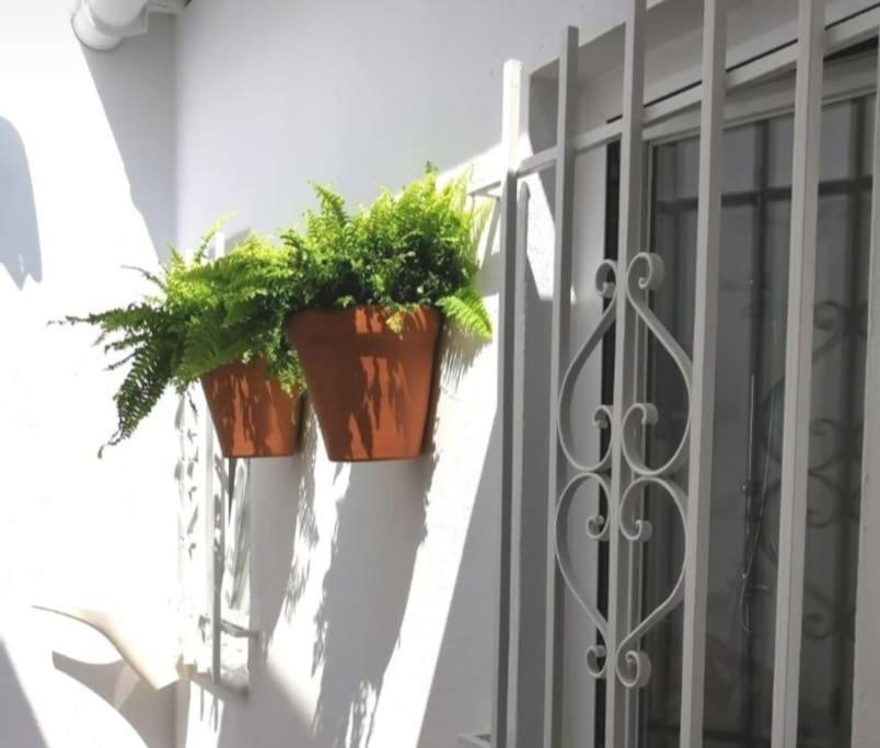 La Marieta, Casita Acogedora Y Centrica Villa Castilleja de la Cuesta Ngoại thất bức ảnh
